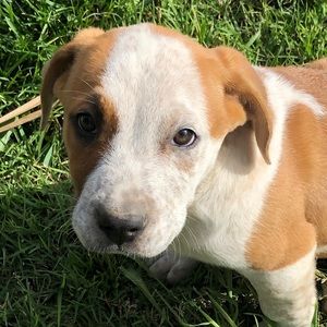 Meet your Posher, Vivian